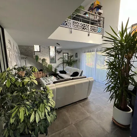Belle Moderne Proche Du Sommet De L'elevage Villa Romagnat