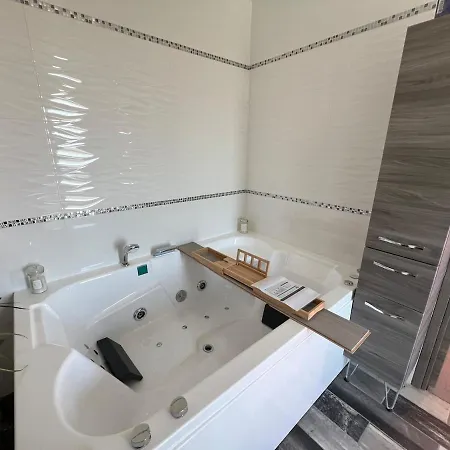 Belle Moderne Proche Du Sommet De L'elevage Villa Romagnat